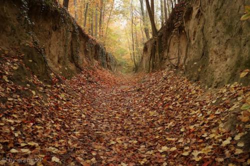 20151101143531_IMG_0104