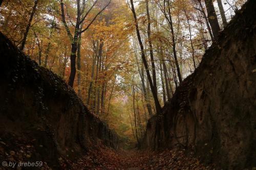 20151101143633_IMG_0106