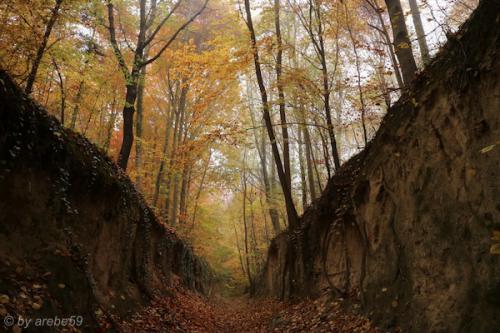 20151101143650_IMG_0107