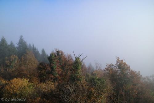 20151101153840_IMG_0108