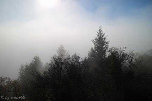 20151101153919_IMG_0109