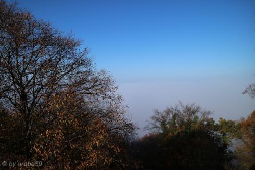 20151101154212_IMG_0113