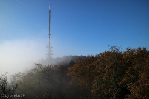 20151101154501_IMG_0115