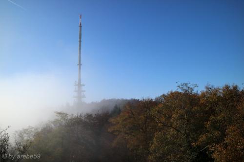 20151101154512_IMG_0116