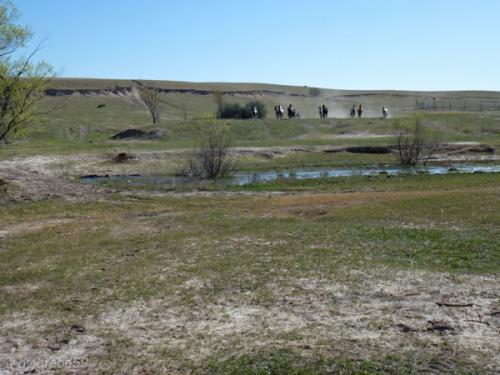 IMG_20120422095533_500