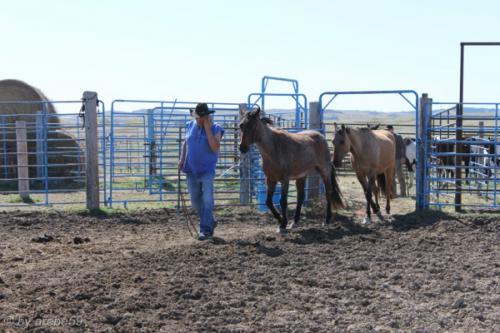 IMG_20120422100607_018