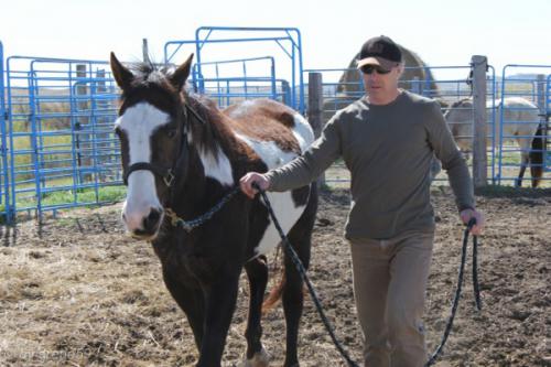 IMG_20120422100716_020