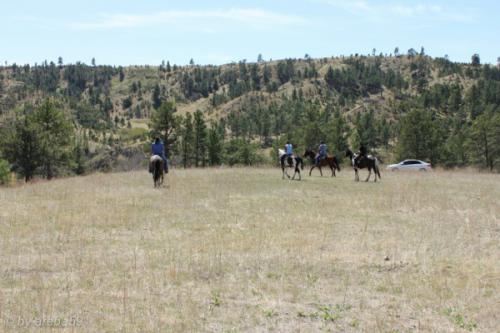 IMG_20120422132959_023