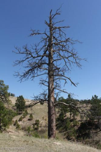 IMG_20120422133326_025