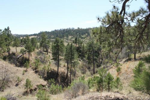 IMG_20120422133806_028