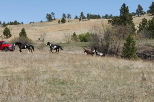 IMG_20120422134239_032