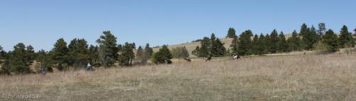 IMG_20120422134252_033