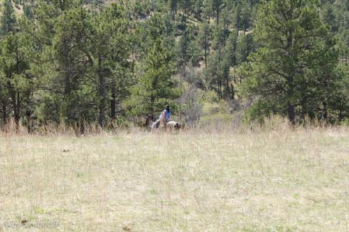 IMG_20120422134330_035