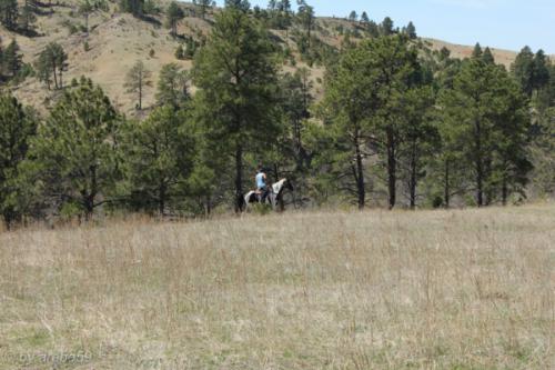 IMG_20120422134338_036