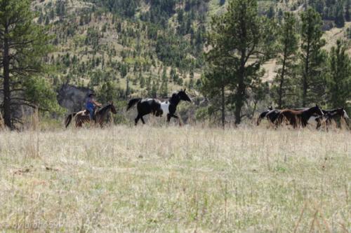 IMG_20120422134520_038