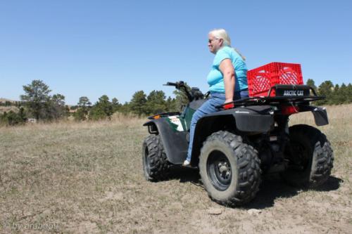 IMG_20120422134621_042