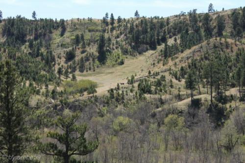 IMG_20120422135301_046