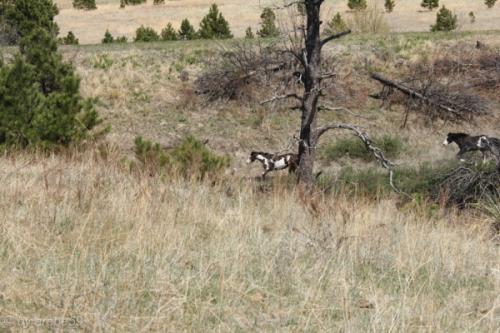 IMG_20120422141635_054