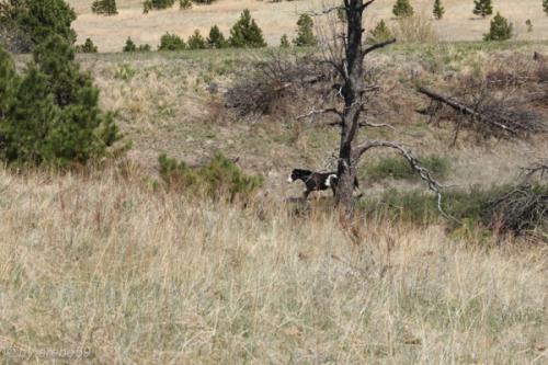 IMG_20120422141636_055