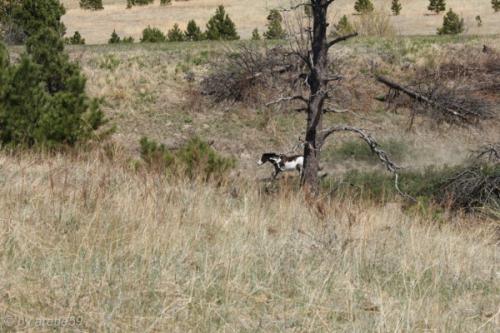 IMG_20120422141638_056