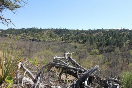 IMG_20120422152832_059