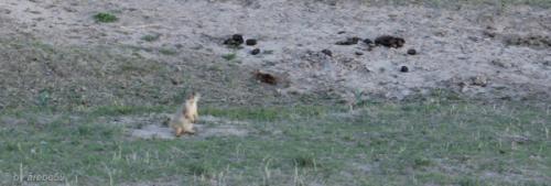 IMG_20120423181811_066