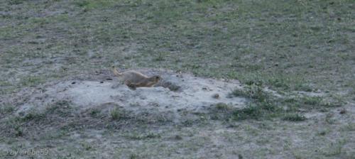 IMG_20120423181812_066