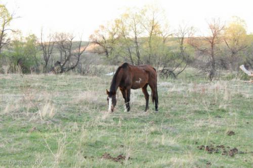 IMG_20120423192818_076