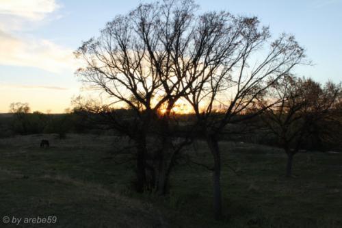 IMG_20120423192921_077