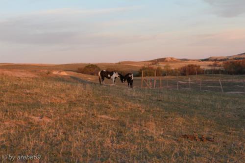 IMG_20120423193215_082