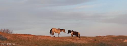 IMG_20120423193326_085