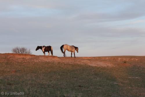 IMG_20120423193327_085