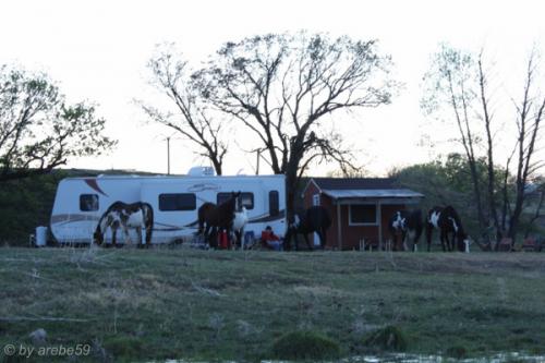 IMG_20120423194815_113