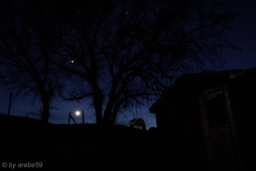 IMG_20120423204515_125