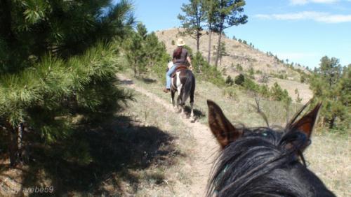 IMG_20120424114150_474