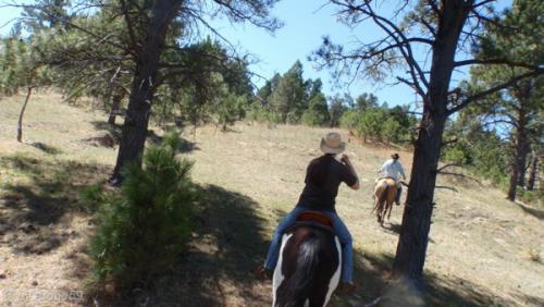 IMG_20120424114212_476