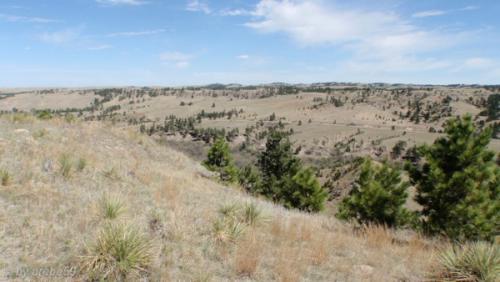 IMG_20120424114923_478