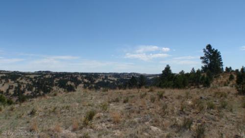 IMG_20120424114945_479