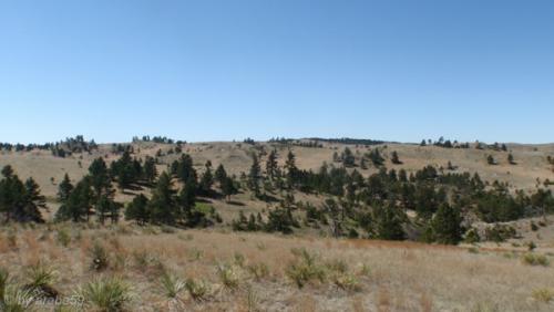 IMG_20120424115002_480