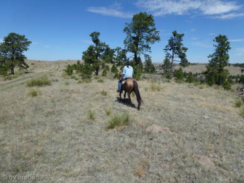 IMG_20120424115548_507