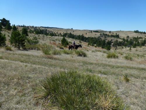 IMG_20120424115604_508