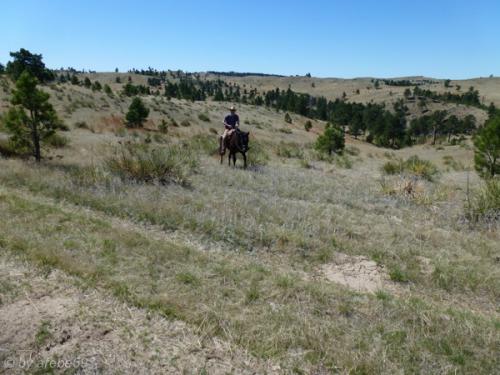 IMG_20120424115617_509