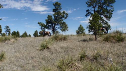 IMG_20120424115702_481