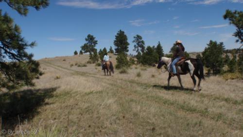 IMG_20120424115713_482