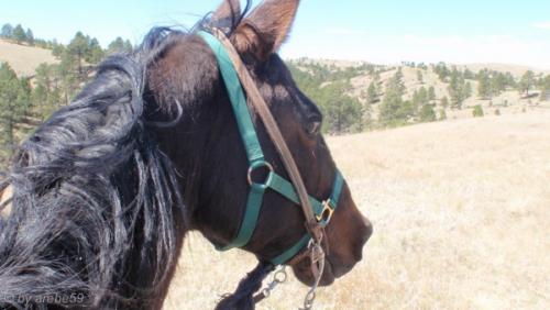 IMG_20120424120839_484