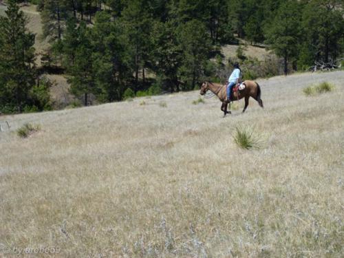 IMG_20120424120840_513