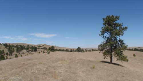 IMG_20120424120855_485