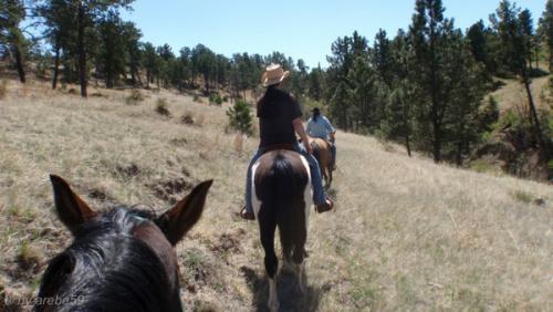 IMG_20120424121110_487