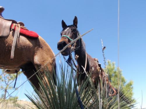 IMG_20120424122515_489