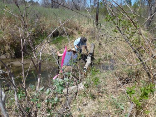 IMG_20120424140436_515